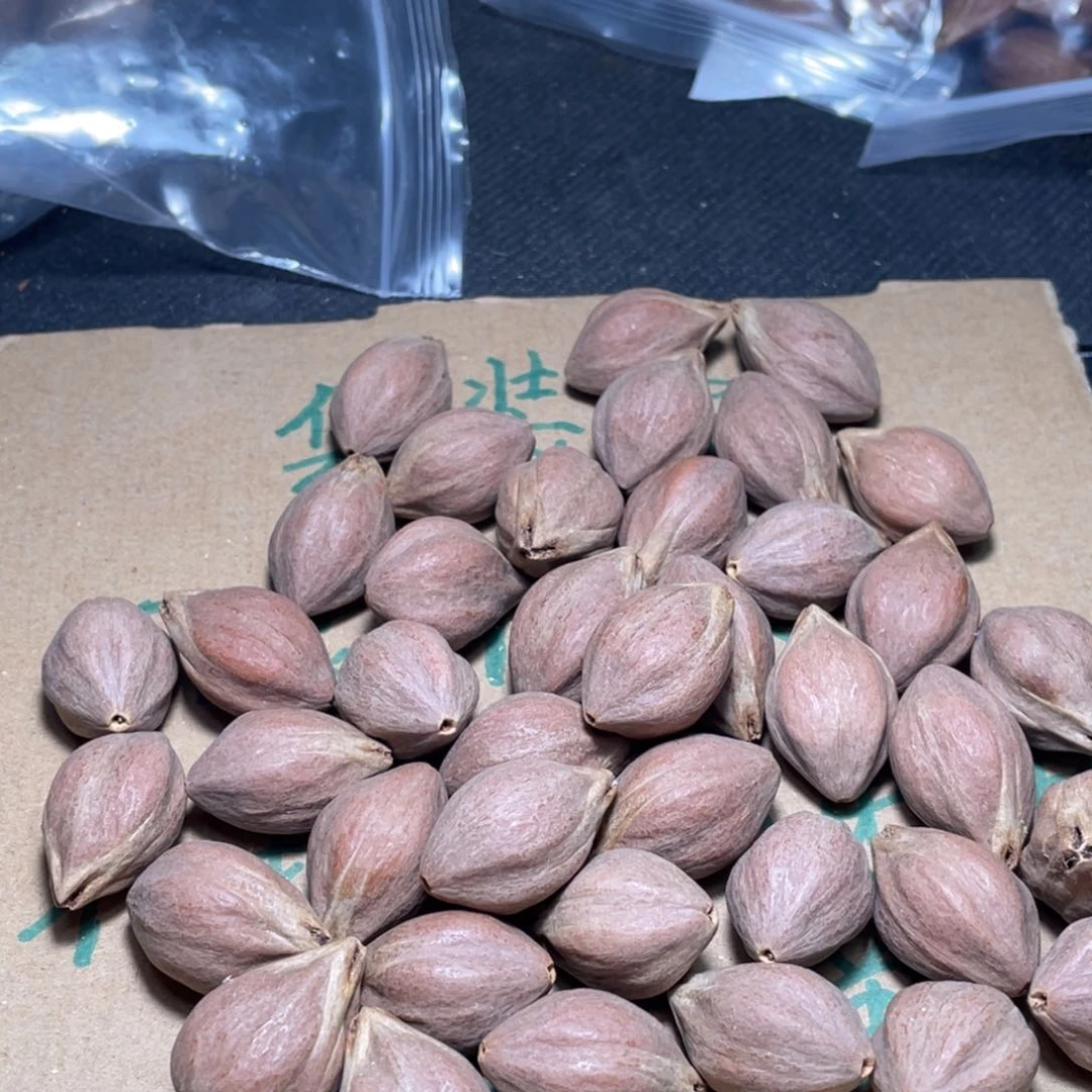 无**比不退不换aassaas