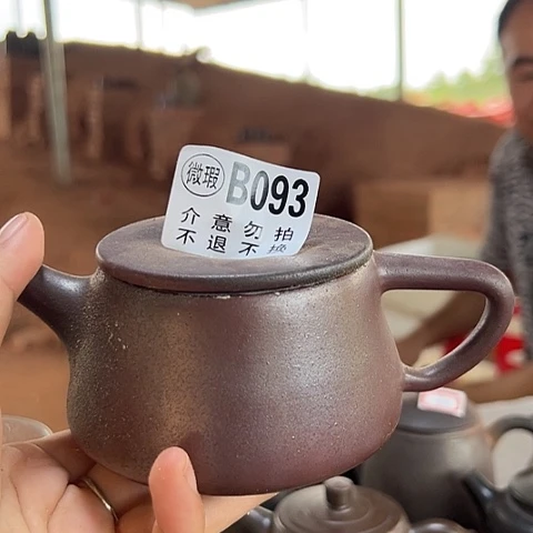 清***歌戬谷龙窑柴烧茶壶093