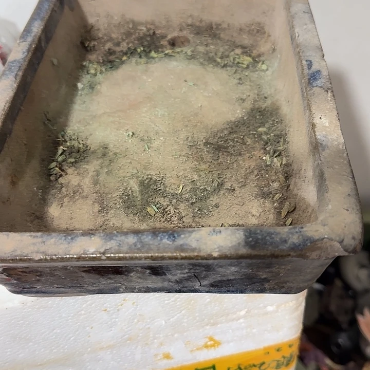 好***树扇子吃h恍恍惚惚哈哈哈哈哈哈