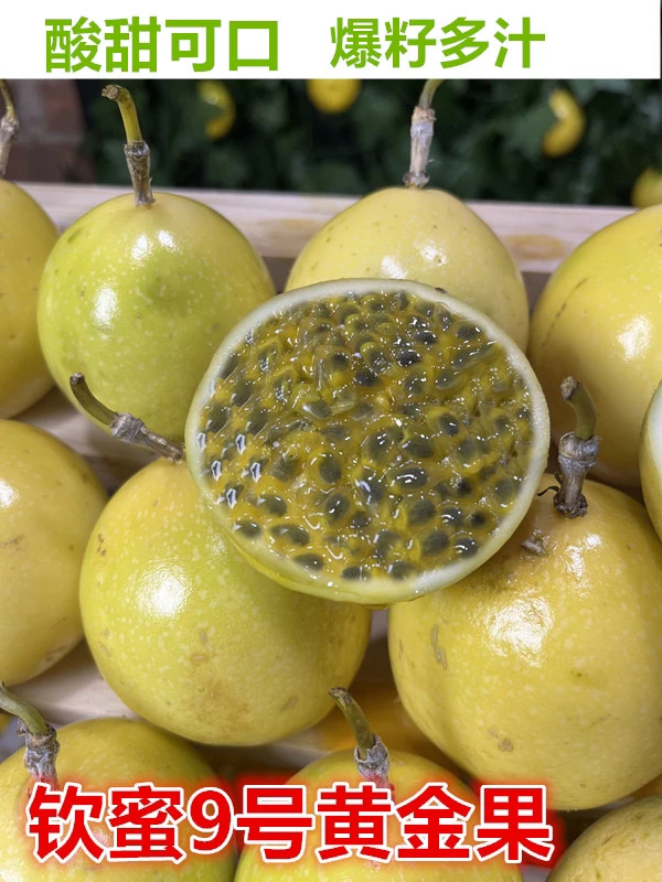 正宗广西百香果钦蜜9号新鲜现摘香甜多汁营养丰富水果
