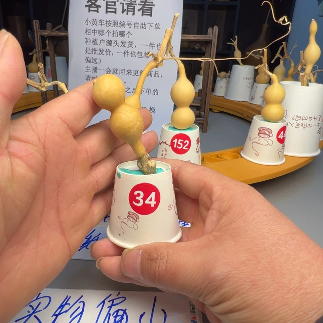 闪电购自助下单编号34