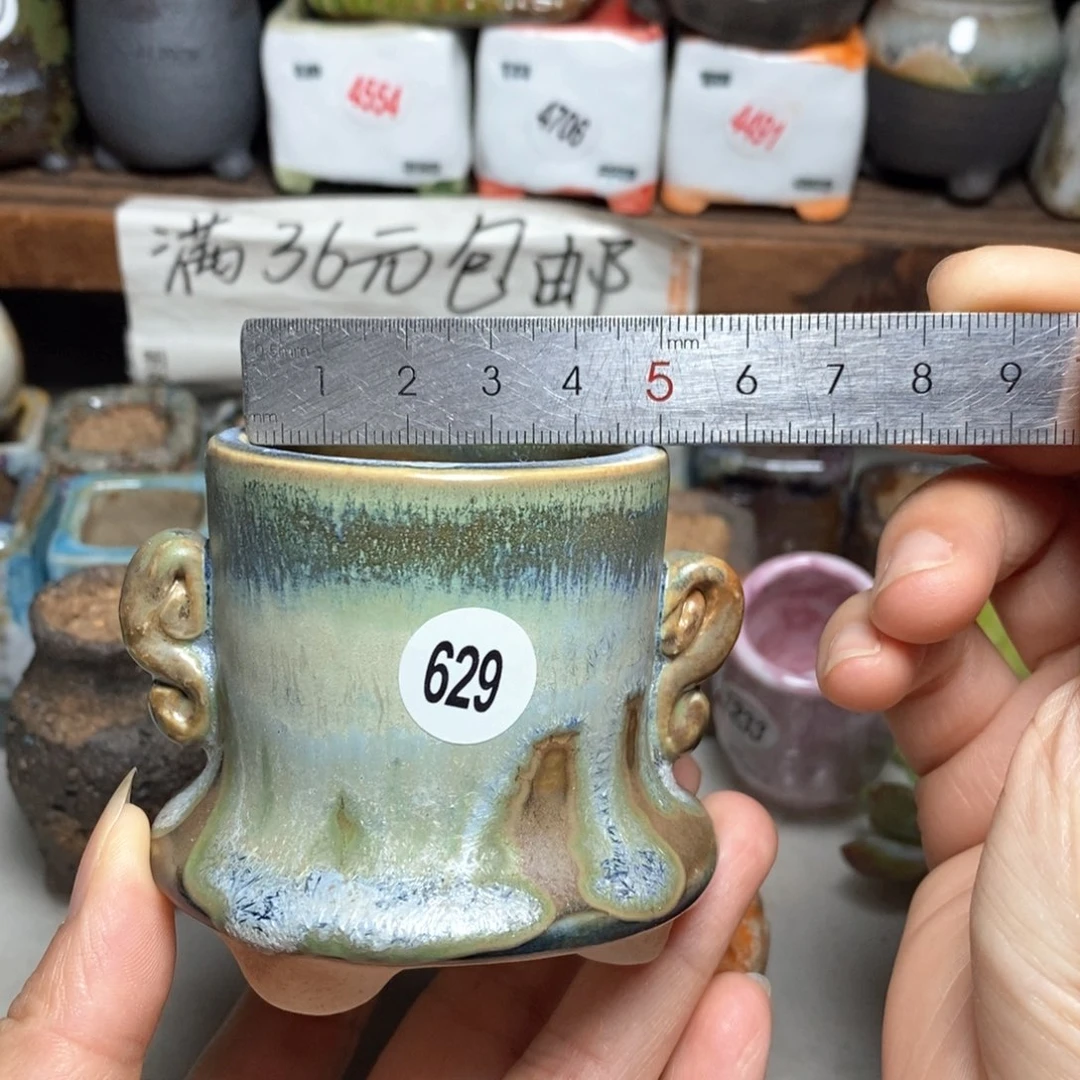 拍5送一个小礼物