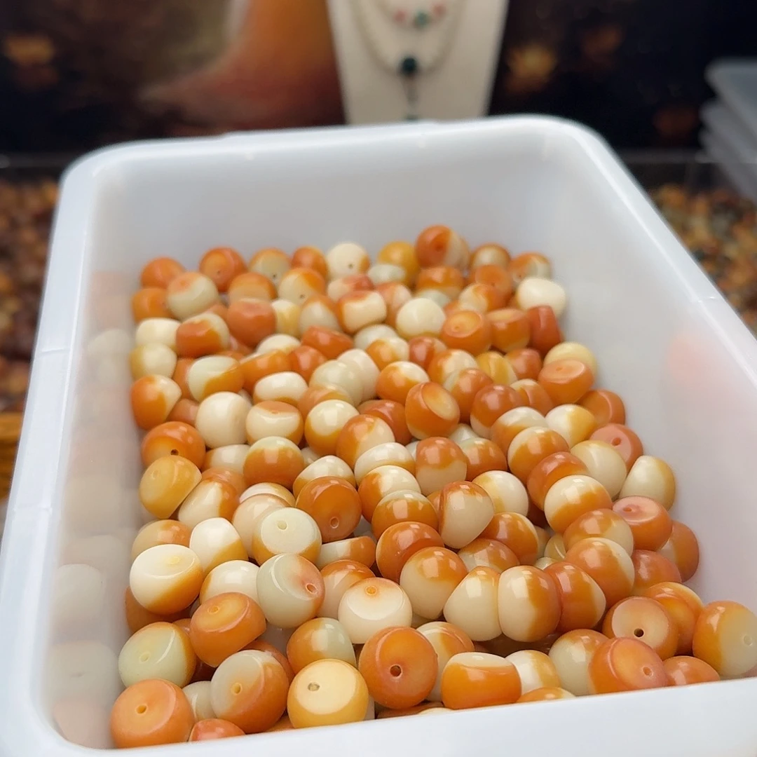 吊坠菩提根/象牙果30 颗蛋黄蒜瓣 14