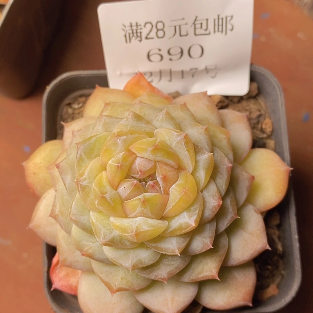 把自己照顾好就行690