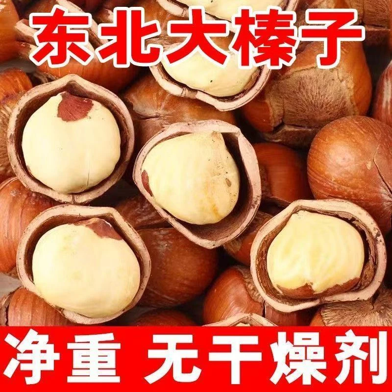 铁岭开原25年东北新鲜大榛子薄皮肉厚铁岭野生大榛子炒货坚果零食