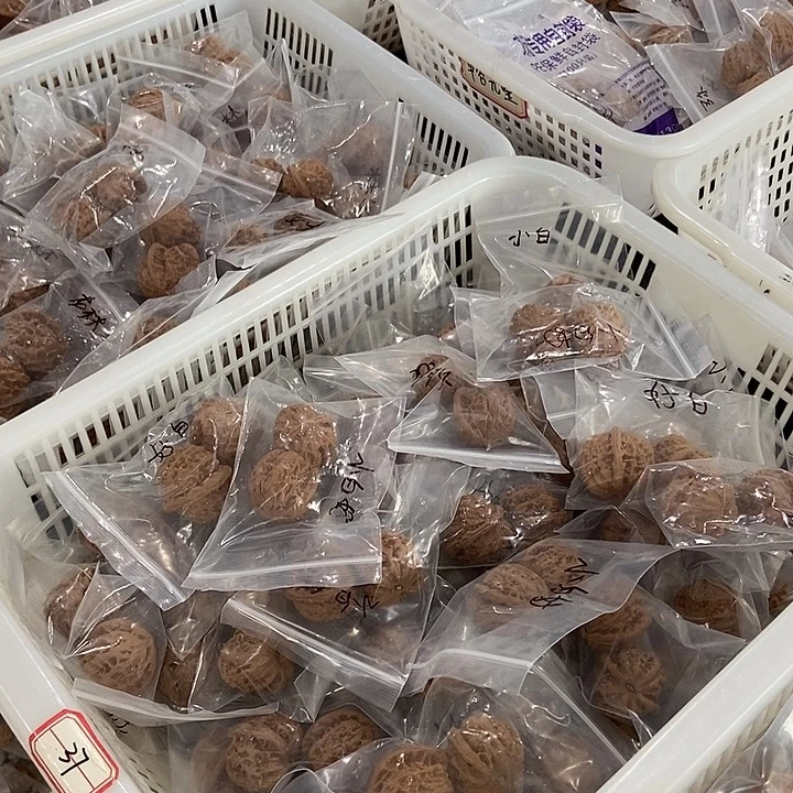 吊坠文玩核桃小白团购