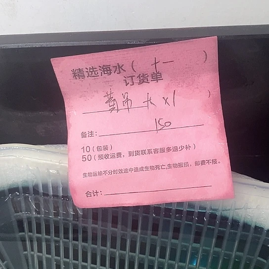 海水鱼大黄吊150+运费30预收 多退少补