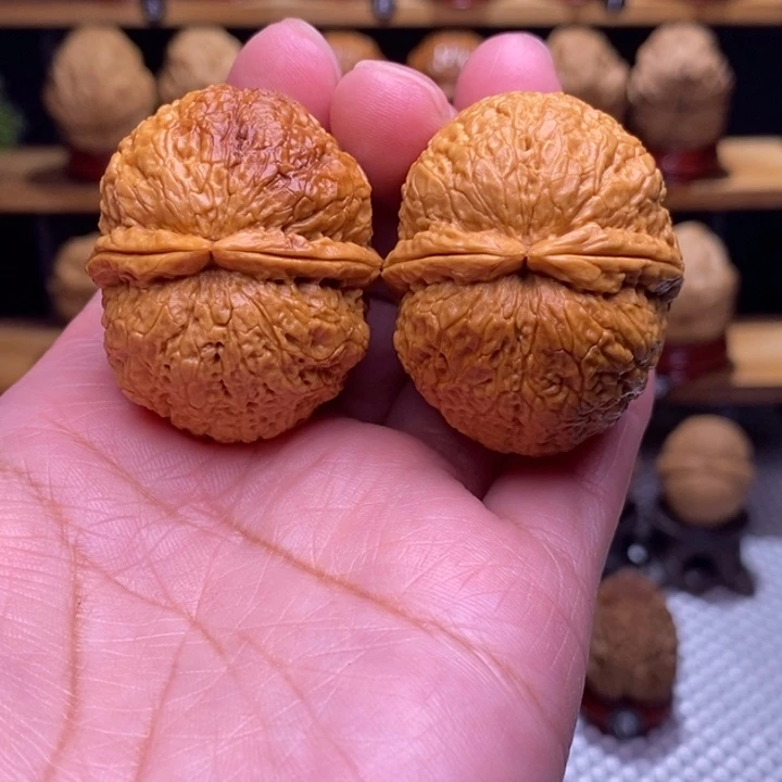 木质类云铁卧龙元宝51号