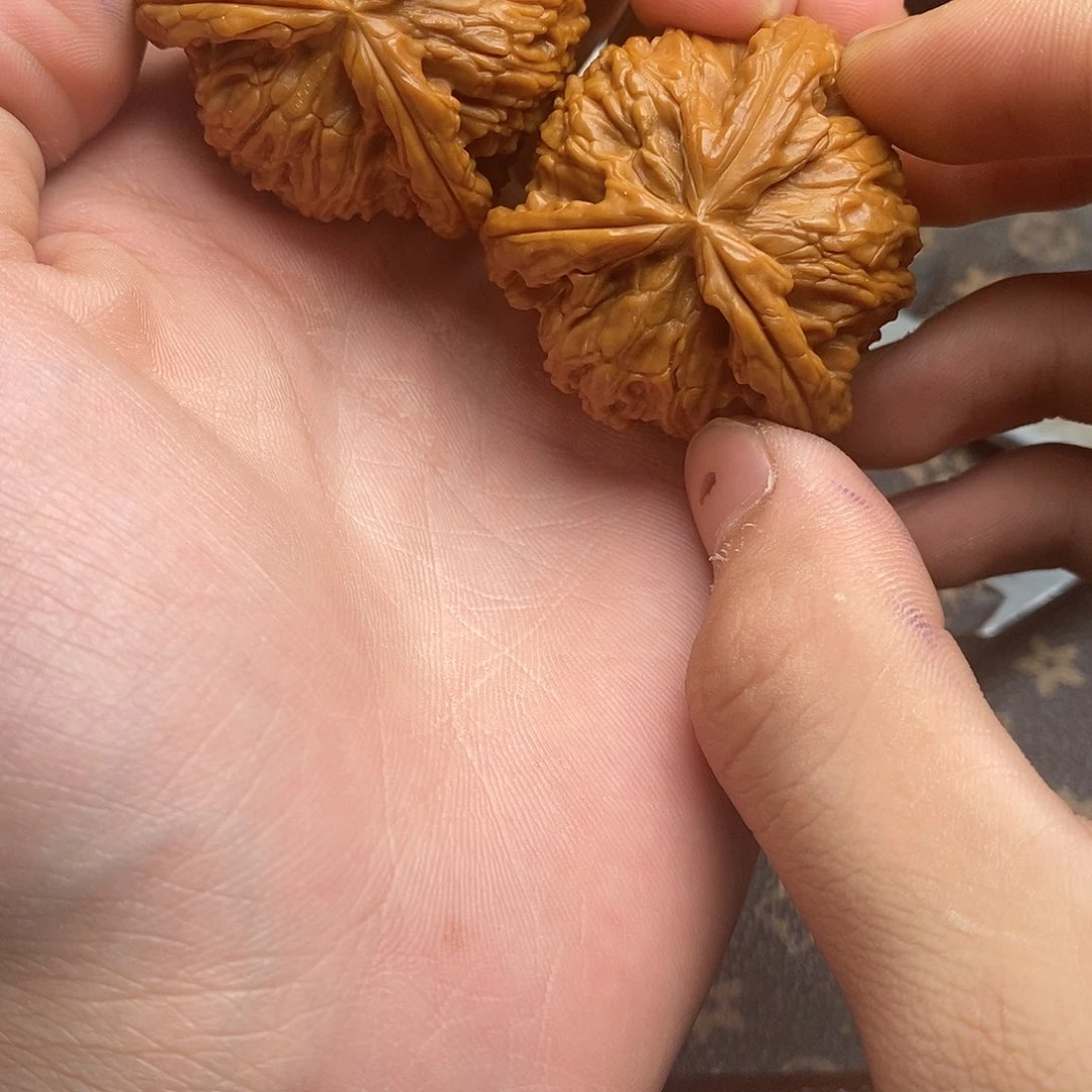 S****味白狮子1111111111111111