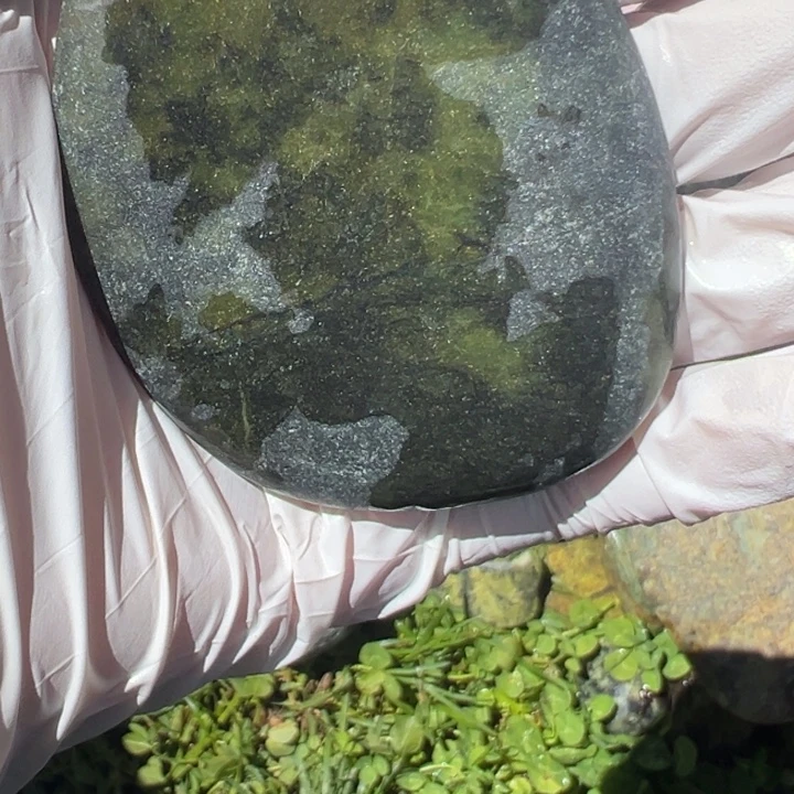 百***家菱锰矿未镶嵌藏玉药王石藏玉