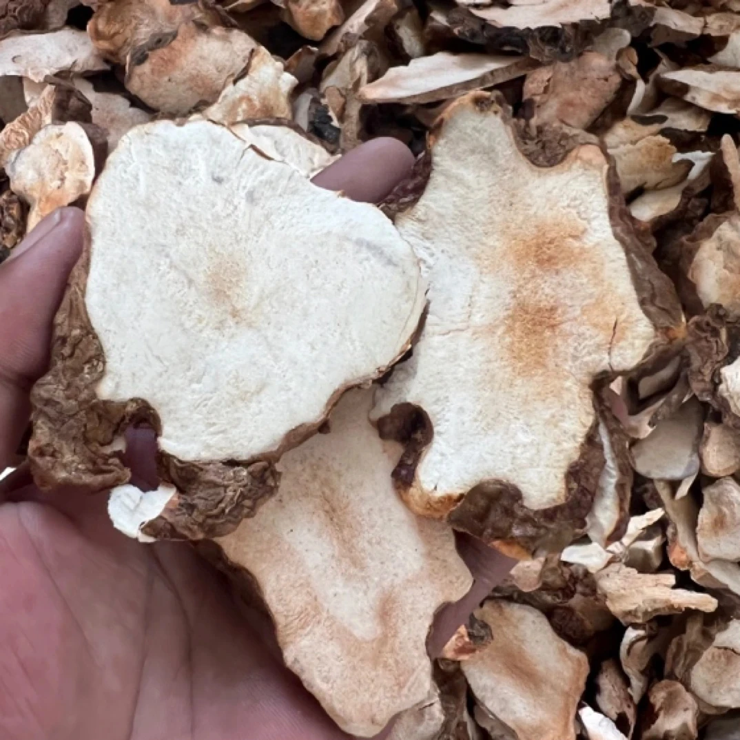 深山野生粉质茯苓土片不熏硫自然晒干【煲汤、煮水】