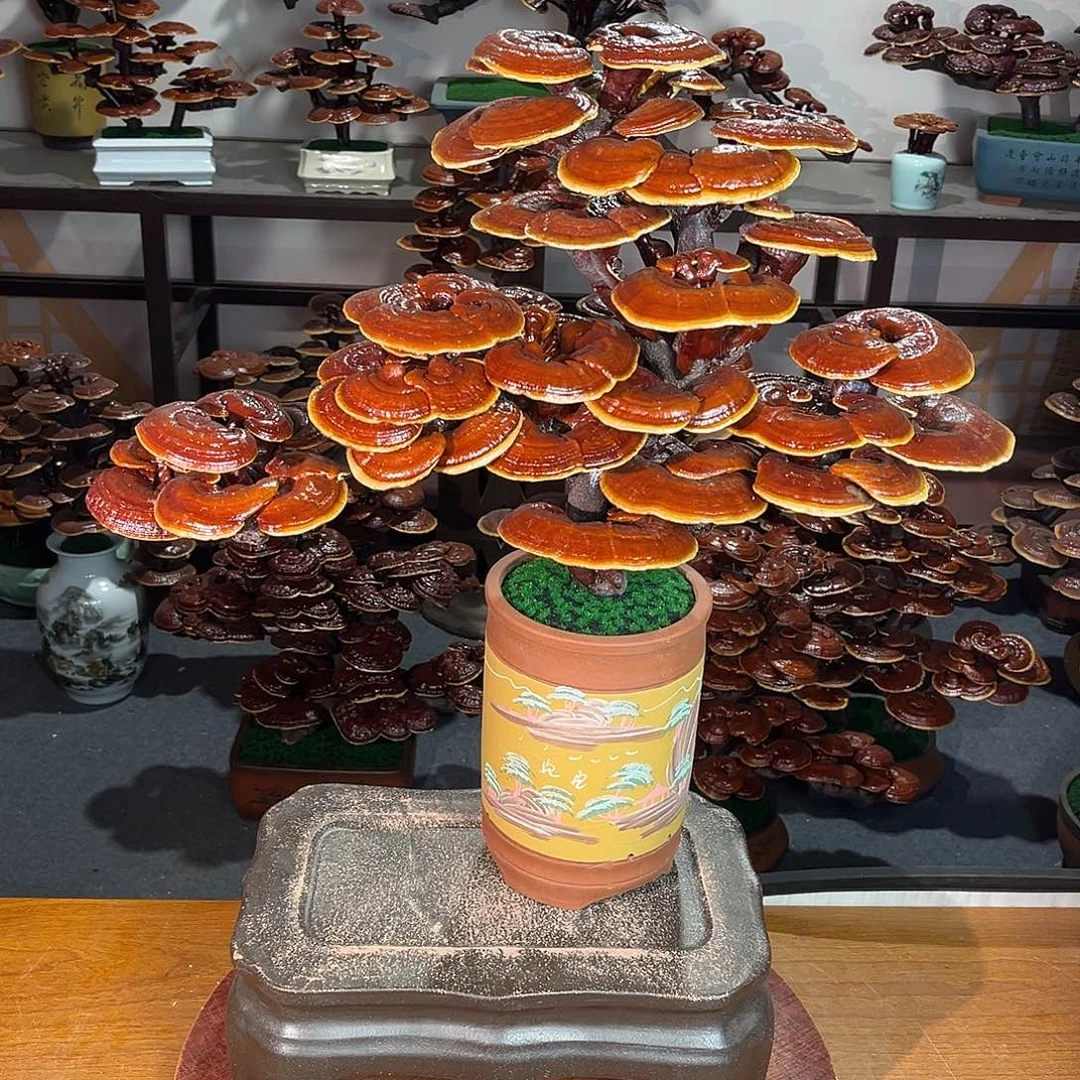 无花朵万事如意88888888888888