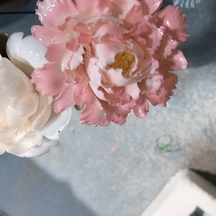 正品直发拍下备注颜色