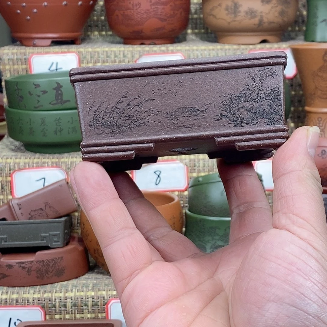 紫砂花盆我在等一