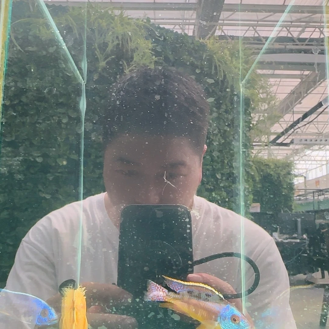 慈鲷子**慷1630号红赢