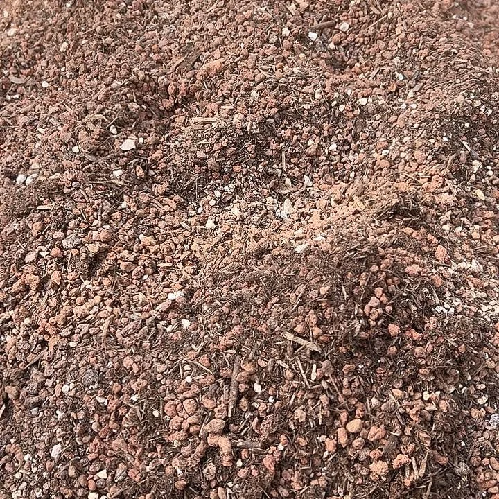 自家土2包多肉植物