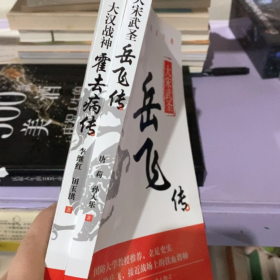 微瑕……两本合售，岳飞……霍去病……