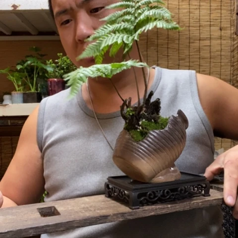 红陶?****麒一物一拍所见即所得239