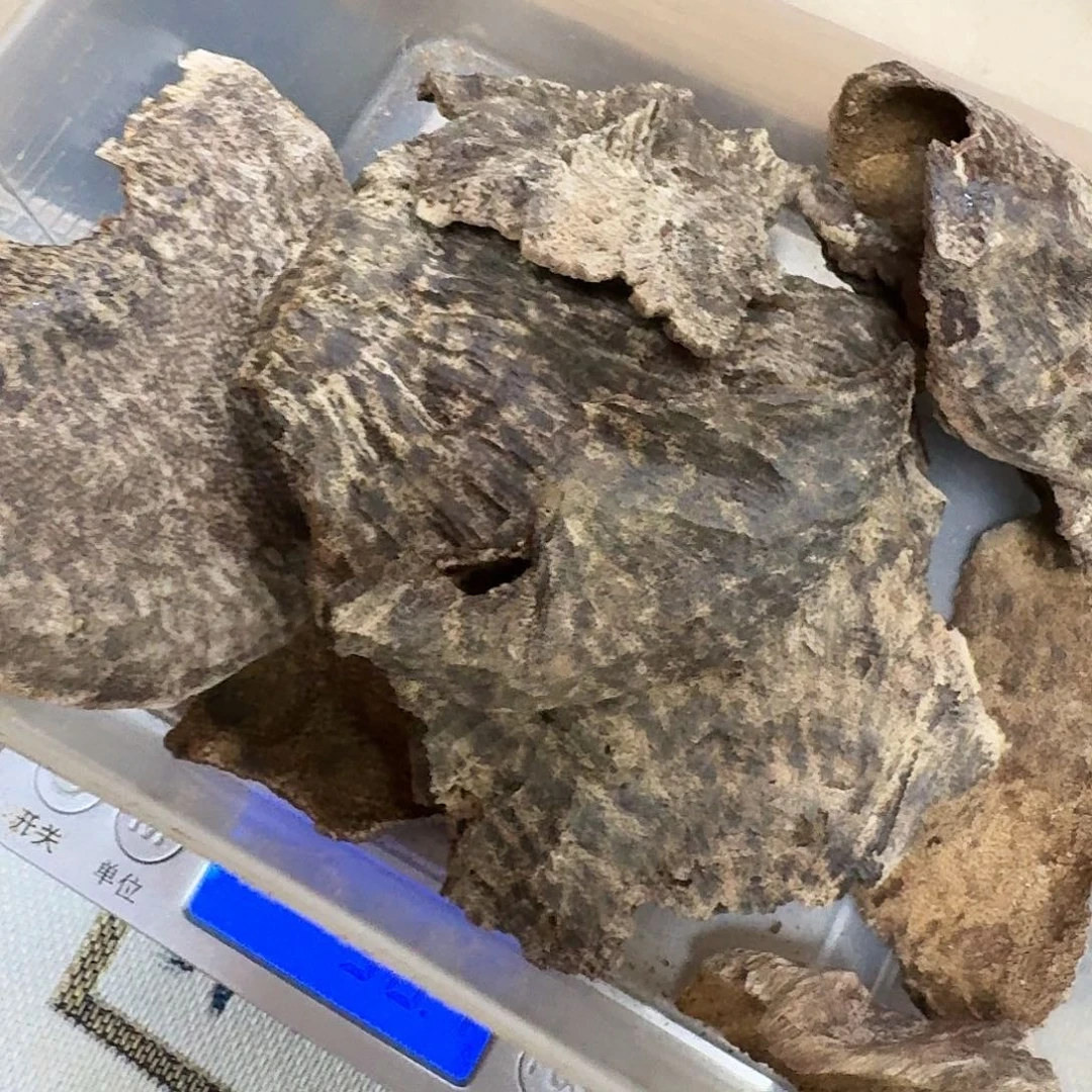 泽***沉香沉香碎屑海南沉香老顶50克