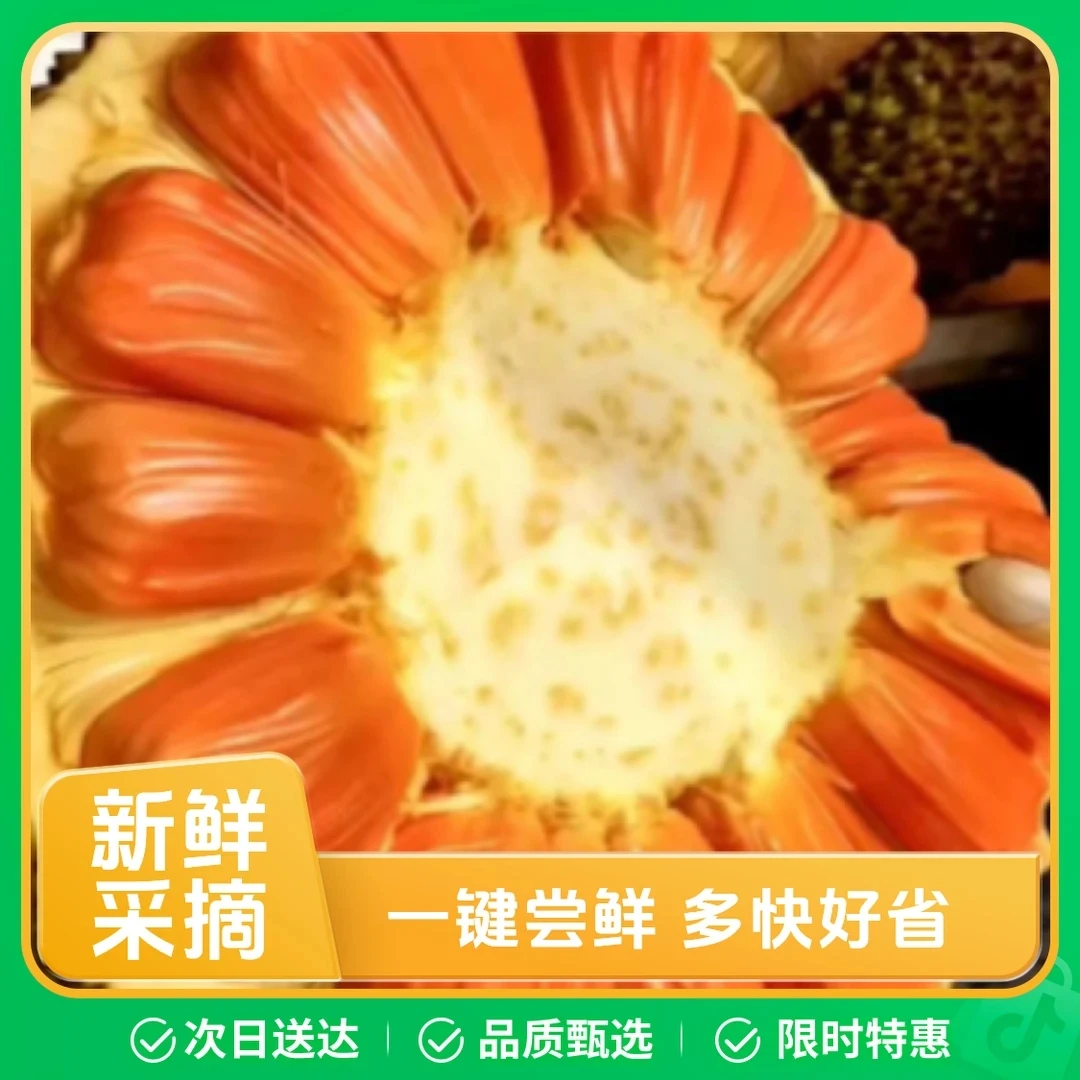 印尼红菠萝蜜肉1/4个 约2.5kg