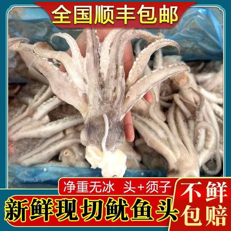 鱿鱼冷冻新鲜鱿鱼海鲜鱿鱼须火箭鱿鱼头海捕烧烤铁板鱿鱼顺丰包邮