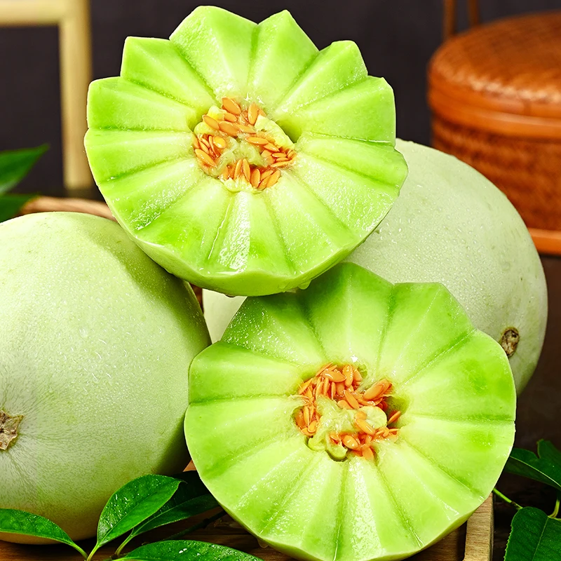 山东玉菇甜瓜产地直发