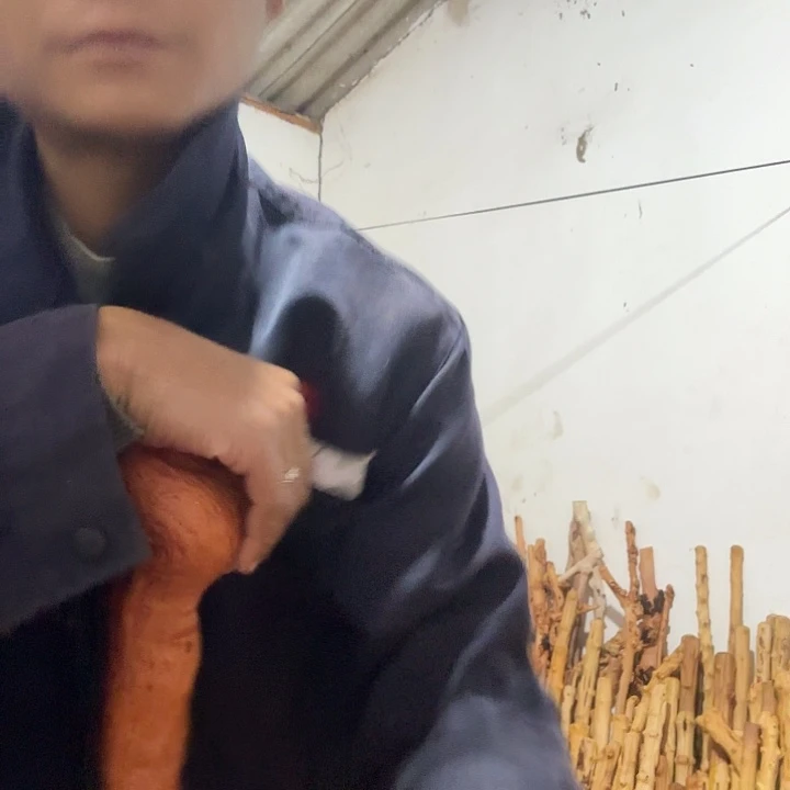 对接木登山掌漂亮货