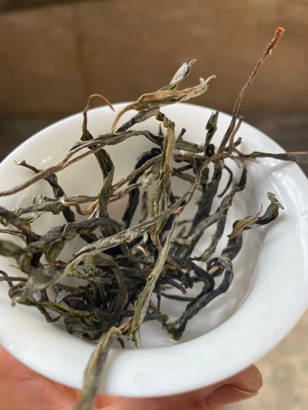 云南古树混采炒青茶绿茶新茶