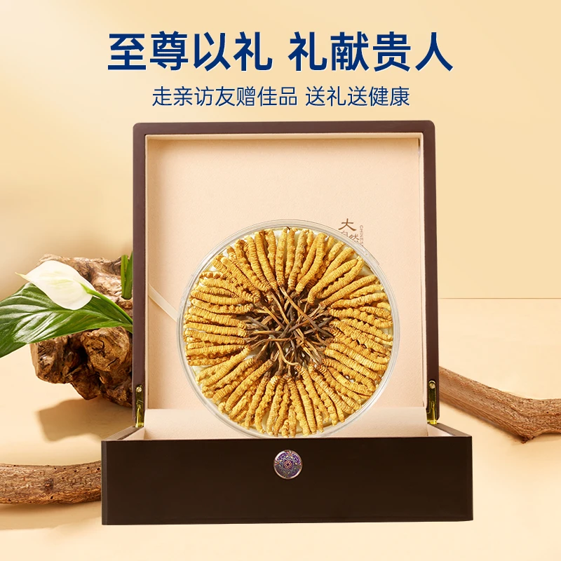 源江草冬虫夏草源头高海拔品质100根5根/克
