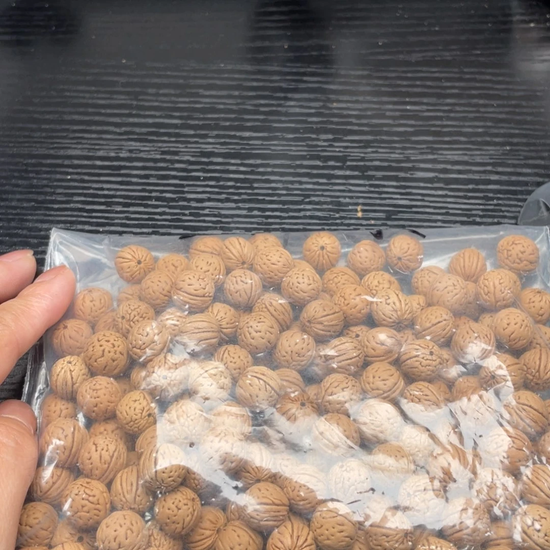 【闪购商品】孤****拥散子发货160米