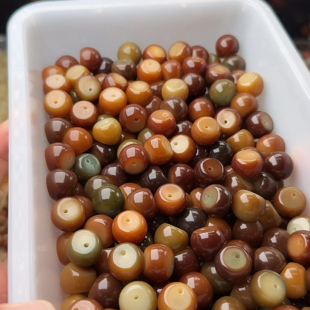 手串菩提根/象牙果50颗菲料追光14.8蒜瓣  厚切