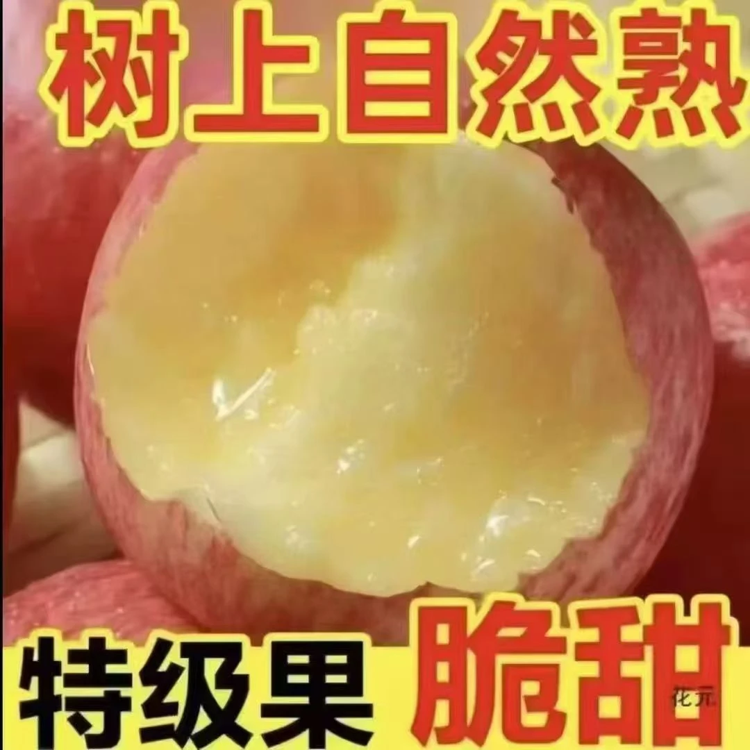 今年新新采摘苹果红富士产地直采鲜嫩多汁脆甜可口水果【产地直发】