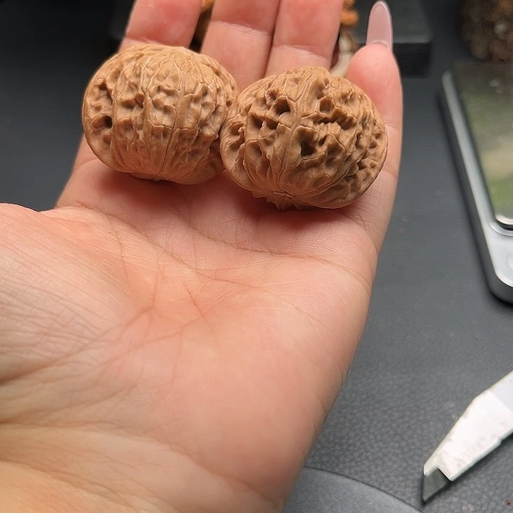 连***雀核桃39磨盘全品核桃