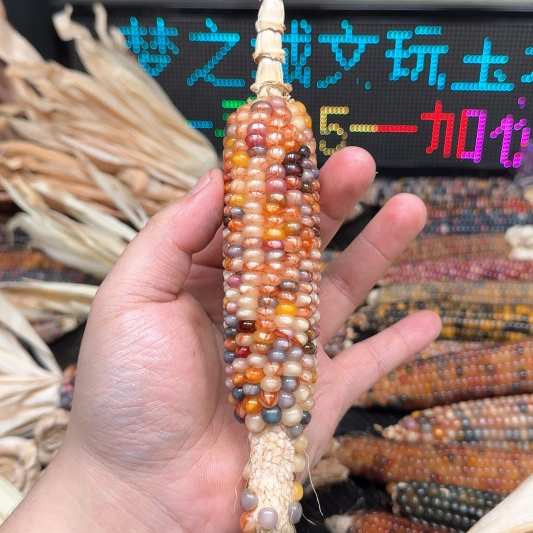 柏香籽/百香籽吊坠用****3