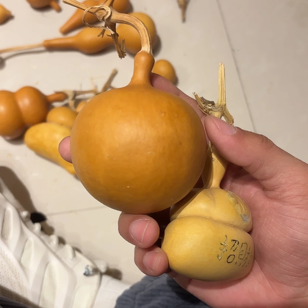 晚***舟葫芦11111111111111111