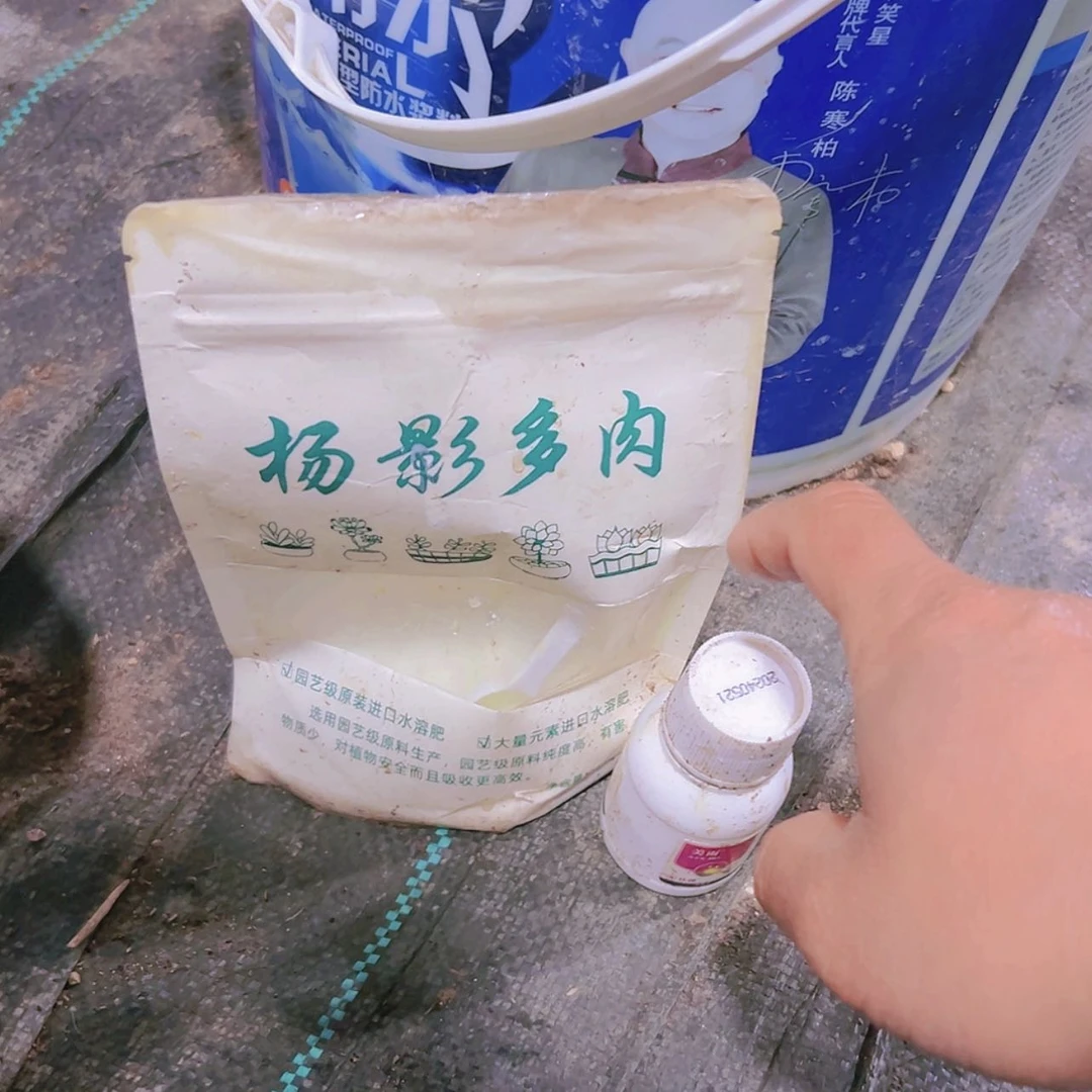【闪购商品】营养水溶分加杀菌