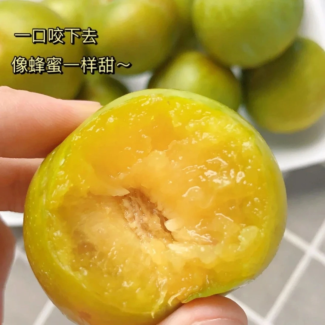 贵州六马蜂糖李原产地镇宁蜂糖水脱骨青脆李子新鲜清脆脱骨李子