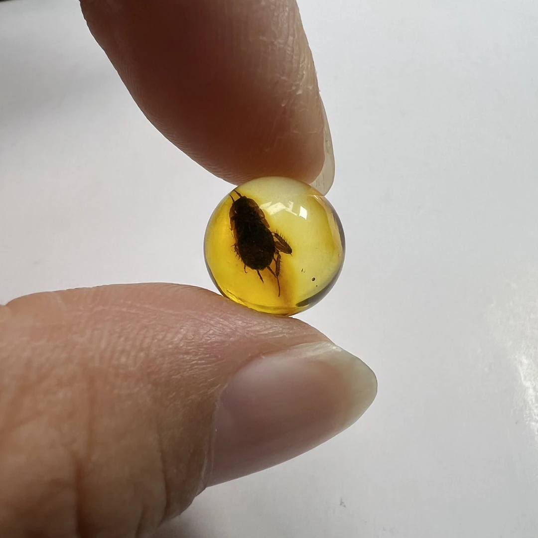 天然虫珀圆珠尺寸：11.9mm