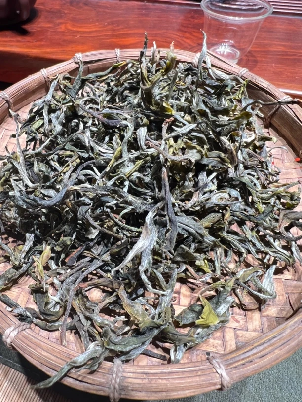 2025年曼松背阴山二春茶500克