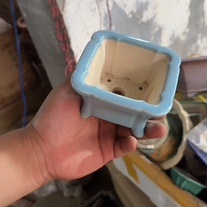 你不说不让她干啥