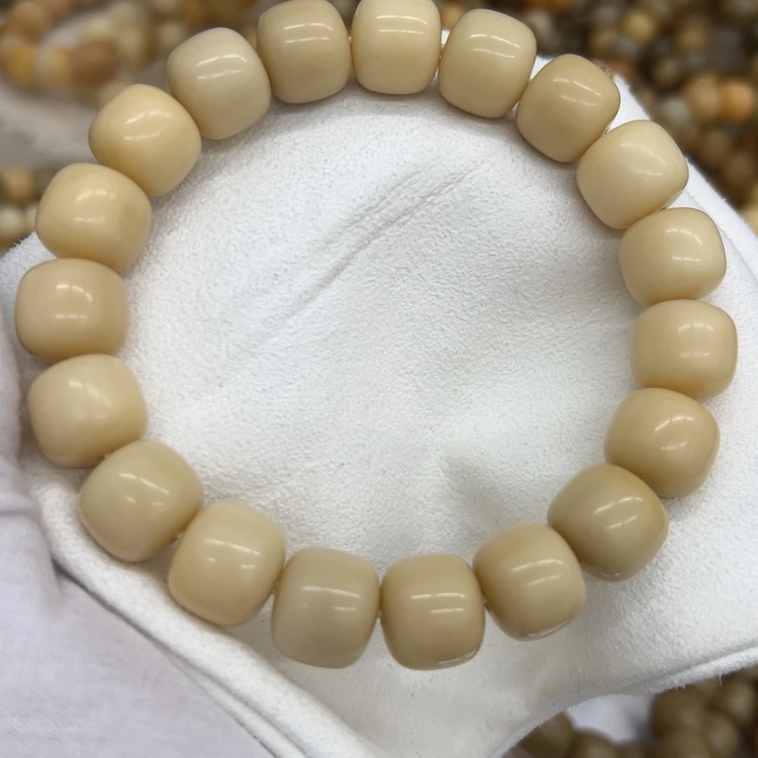 吊坠菩提根/象牙果15干磨燕麦奶咖676