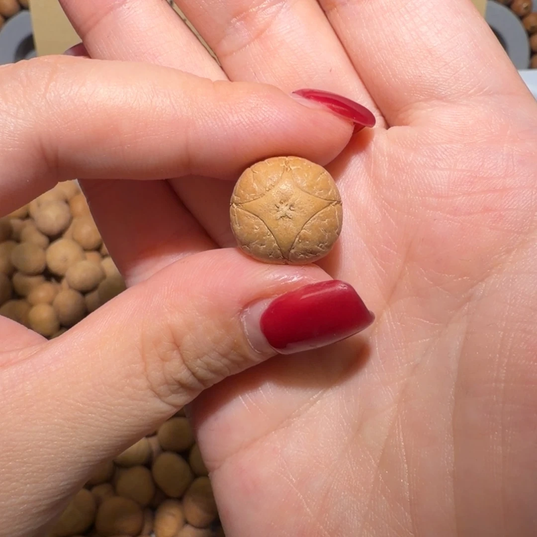 爱***柚吊坠凤眼菩提爱忘了