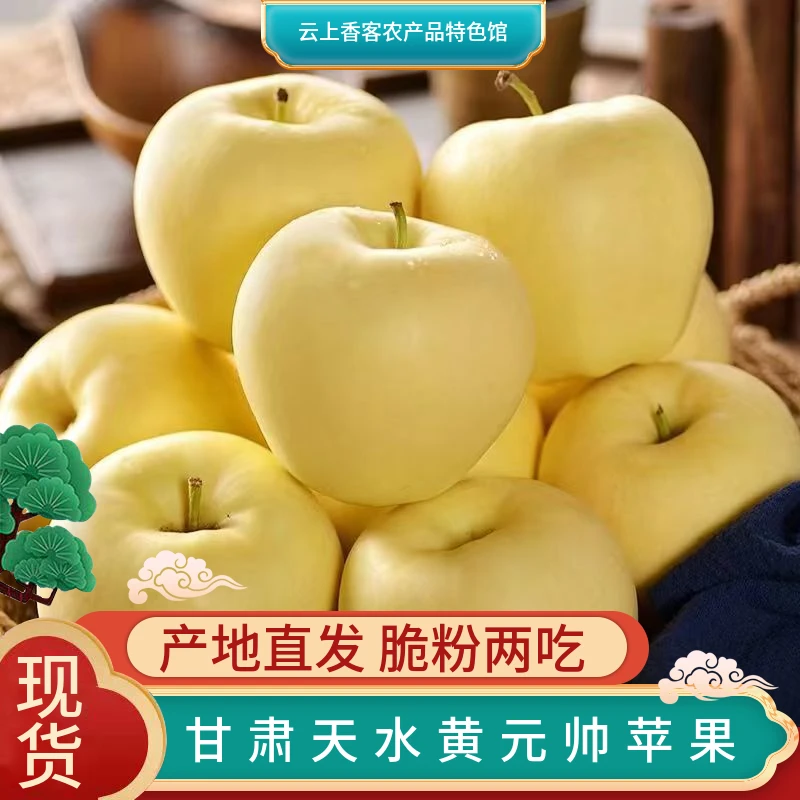 甘肃正宗天水黄元帅苹果脆甜多汁当季新鲜水果产地直发（中果）