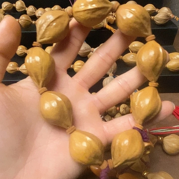 手串/手链橄榄核2.3尺寸蒜头
