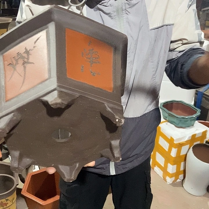 32 花盆花盆花盆花盆和花盆花盆