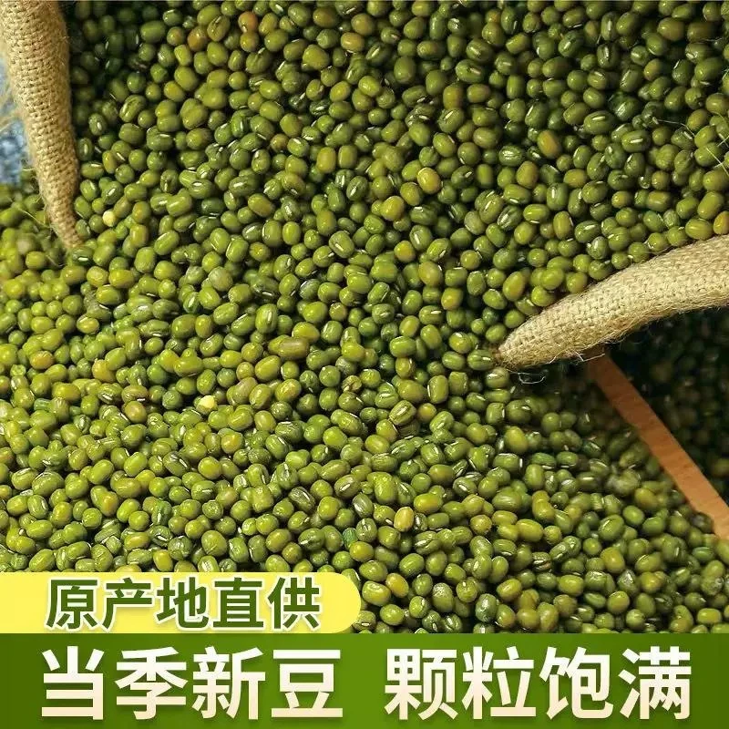 new云南绿豆优选农家新绿豆绿豆粥绿豆汤笨绿豆发芽颗粒饱满夏天