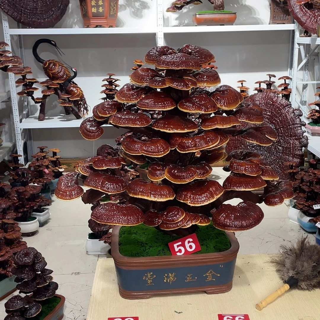 无花朵8888888888888888