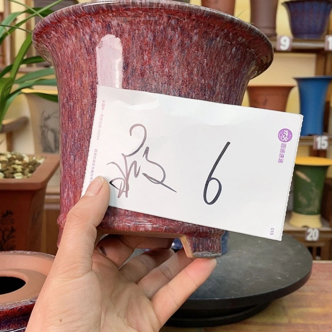 【闪购商品】紫砂花盆小*阁兰花45558888888888858