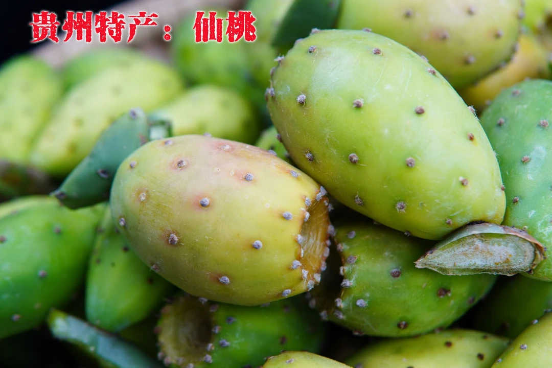 贵州野生仙桃 仙人掌果新鲜水果
