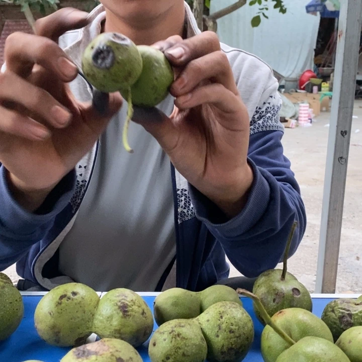 吊坠文玩核桃N****₎